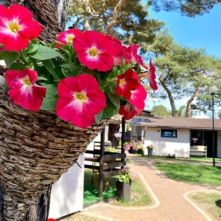 Promyk Holiday home