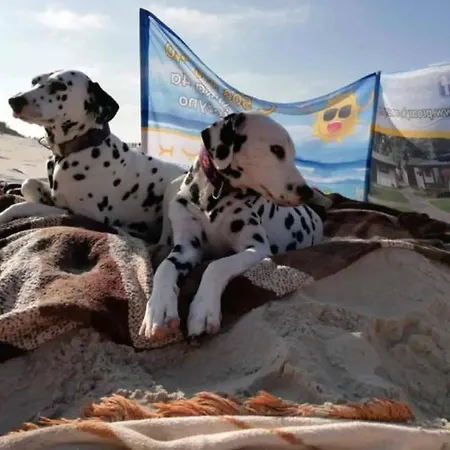 Promyk ムジェジノ